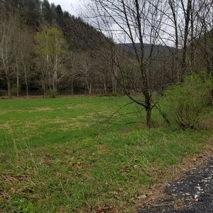 Meet your Posher, Jacqueline